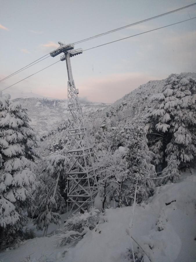 Hotel Green Orchid Udhampur Bagian luar foto
