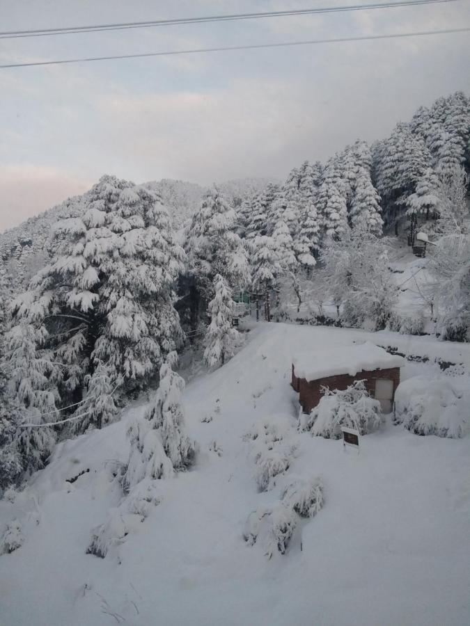 Hotel Green Orchid Udhampur Bagian luar foto