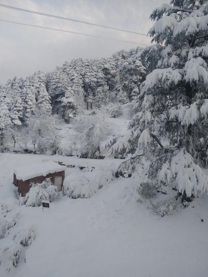 Hotel Green Orchid Udhampur Bagian luar foto