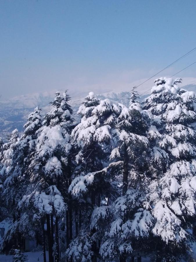 Hotel Green Orchid Udhampur Bagian luar foto