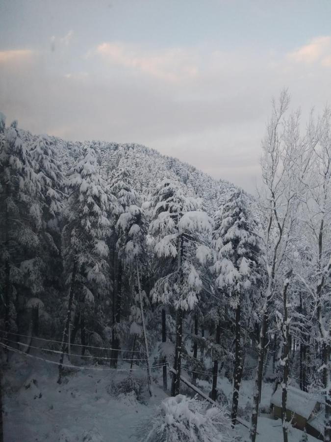 Hotel Green Orchid Udhampur Bagian luar foto