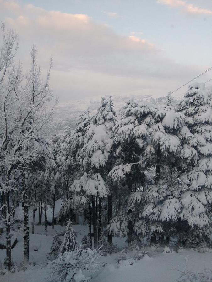 Hotel Green Orchid Udhampur Bagian luar foto